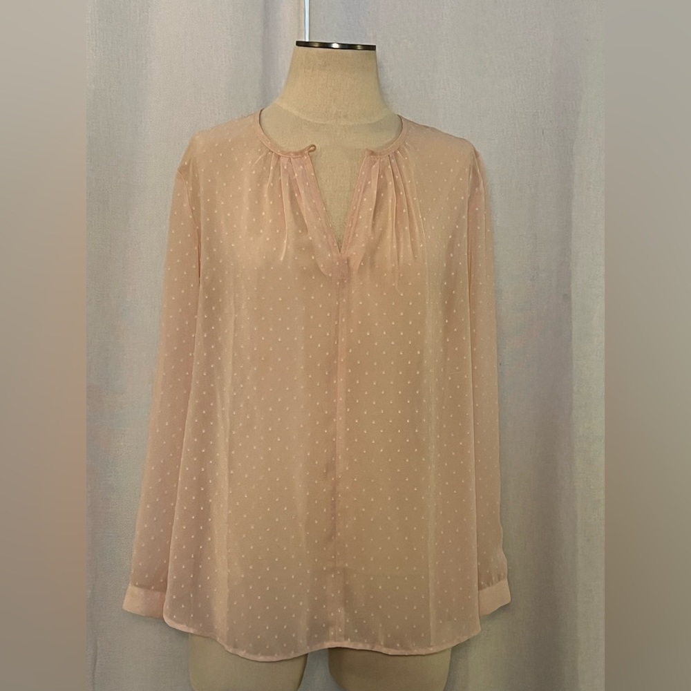 Sheer Blush J.Crew Blouse szS